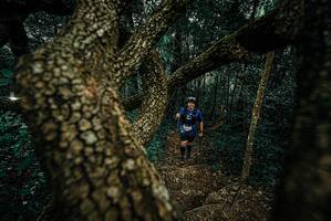 BIB: 
                            <button type="button" onclick="openModal(25696871)" class="btn btn-primary btn-sm float-right btn-popup" data-toggle="modal" data-target=".modal-high-quality">
                        <i class="fas fa-shopping-cart"></i> Add to Cart
                    </button>
                                            <button type="button" onclick="isThisMe(25696871, true)" class="btn btn-success btn-sm float-right btn-popup btn-isme hidden" data-toggle="tooltip" data-placement="bottom" title="นี่คือรูปของคุณใช่ไหม คลิกที่นี่เพื่อเอาเข้าอัลบั้ม">
                        <i class="fas fa-plus"></i> Add to album
                    </button>
                    <button type="button" onclick="isThisMe(25696871, false)" class="btn btn-warning btn-sm float-right btn-popup btn-isnotme hidden">
                        <i class="fas fa-ban"></i> Remove from album
                    </button>